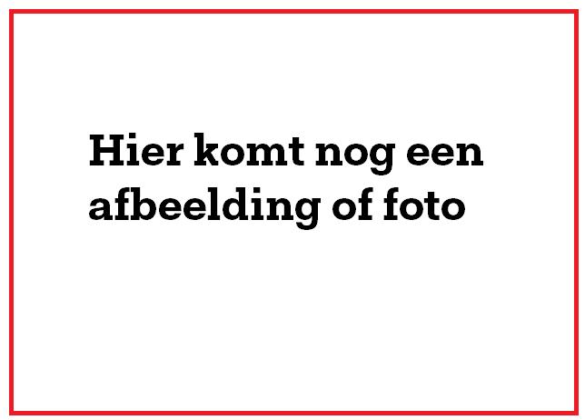 Tijdelijke afbeelding